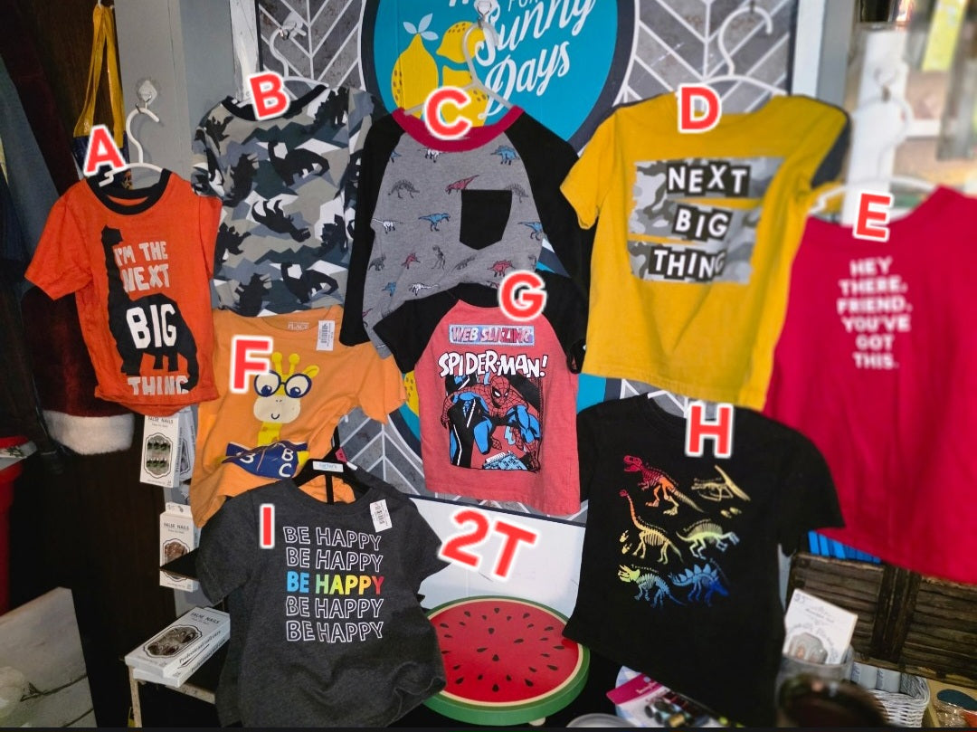 Boys 2 T tops